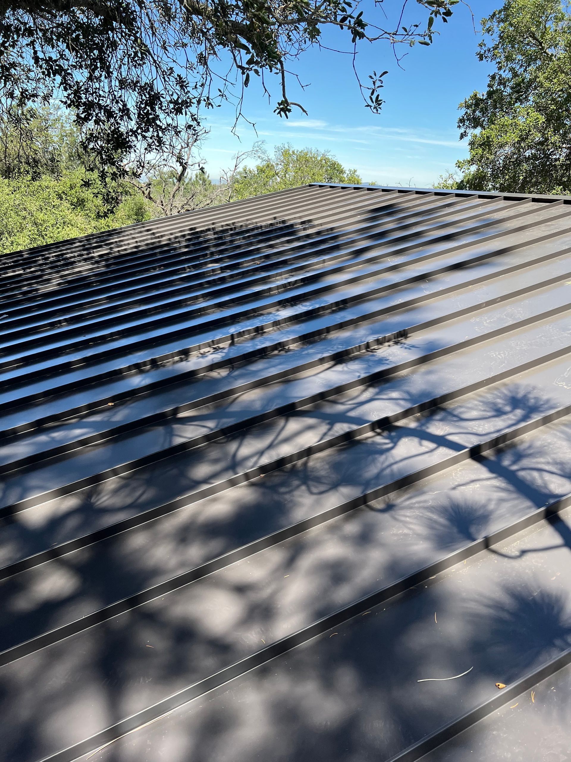 Sunlit metal roof with tree shadows and blue sky beyond