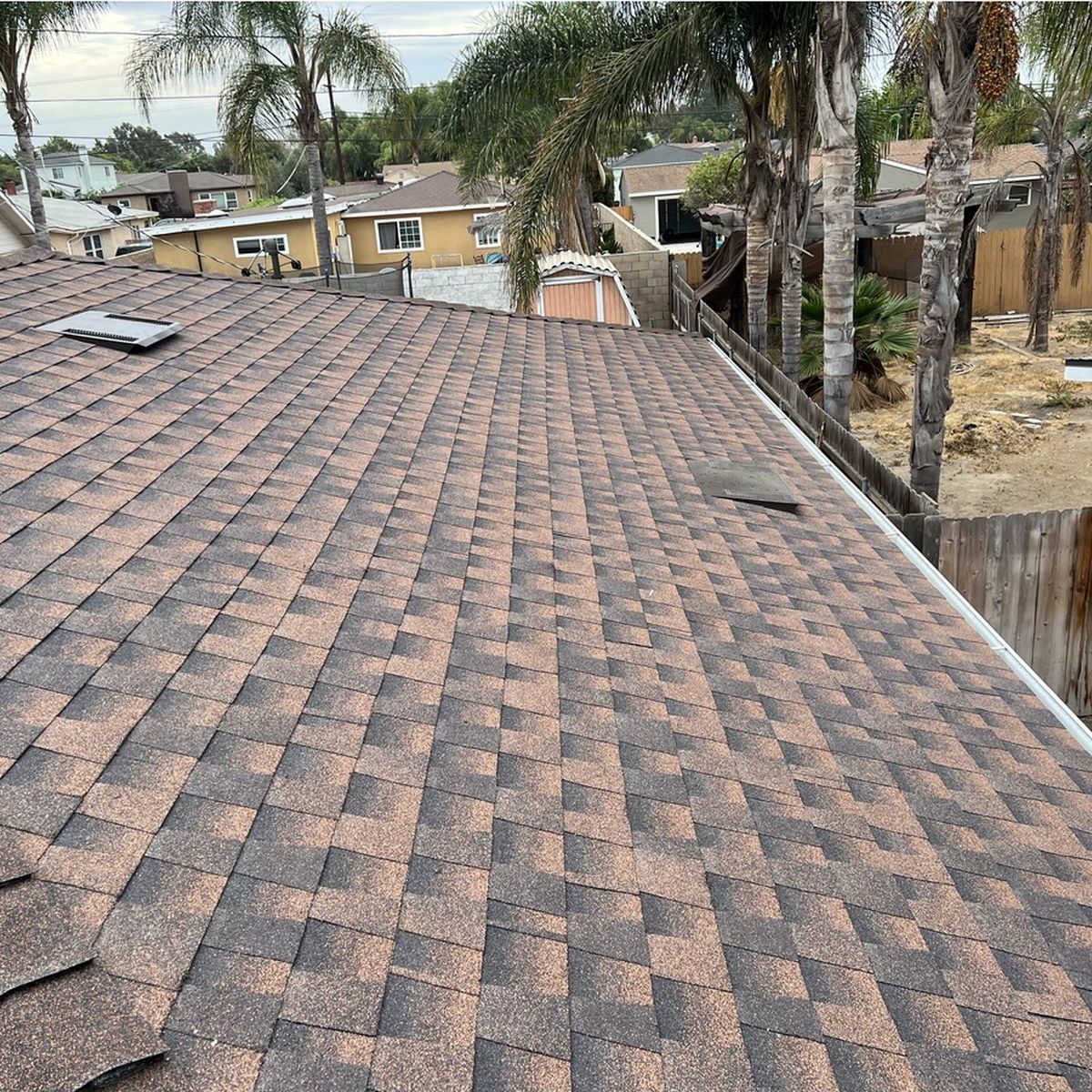 Brown shingle roof with palm trees and houses in a dry suburban neighborhood