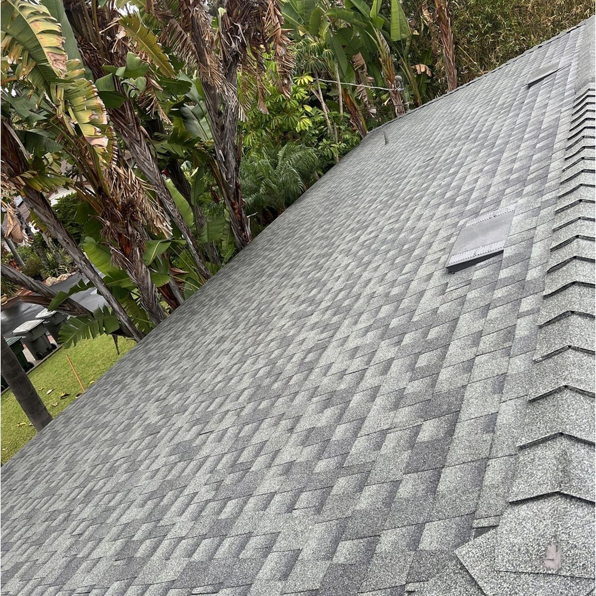 Gray shingled roof with a small vent, bordered by tall trees and greenery in the background