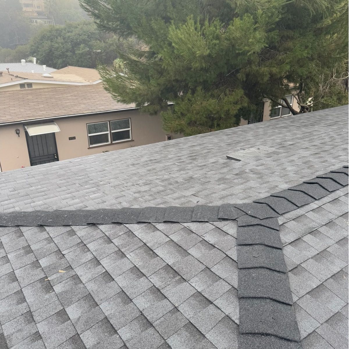 Gray shingled rooftops with trees and a neighboring house in the background.