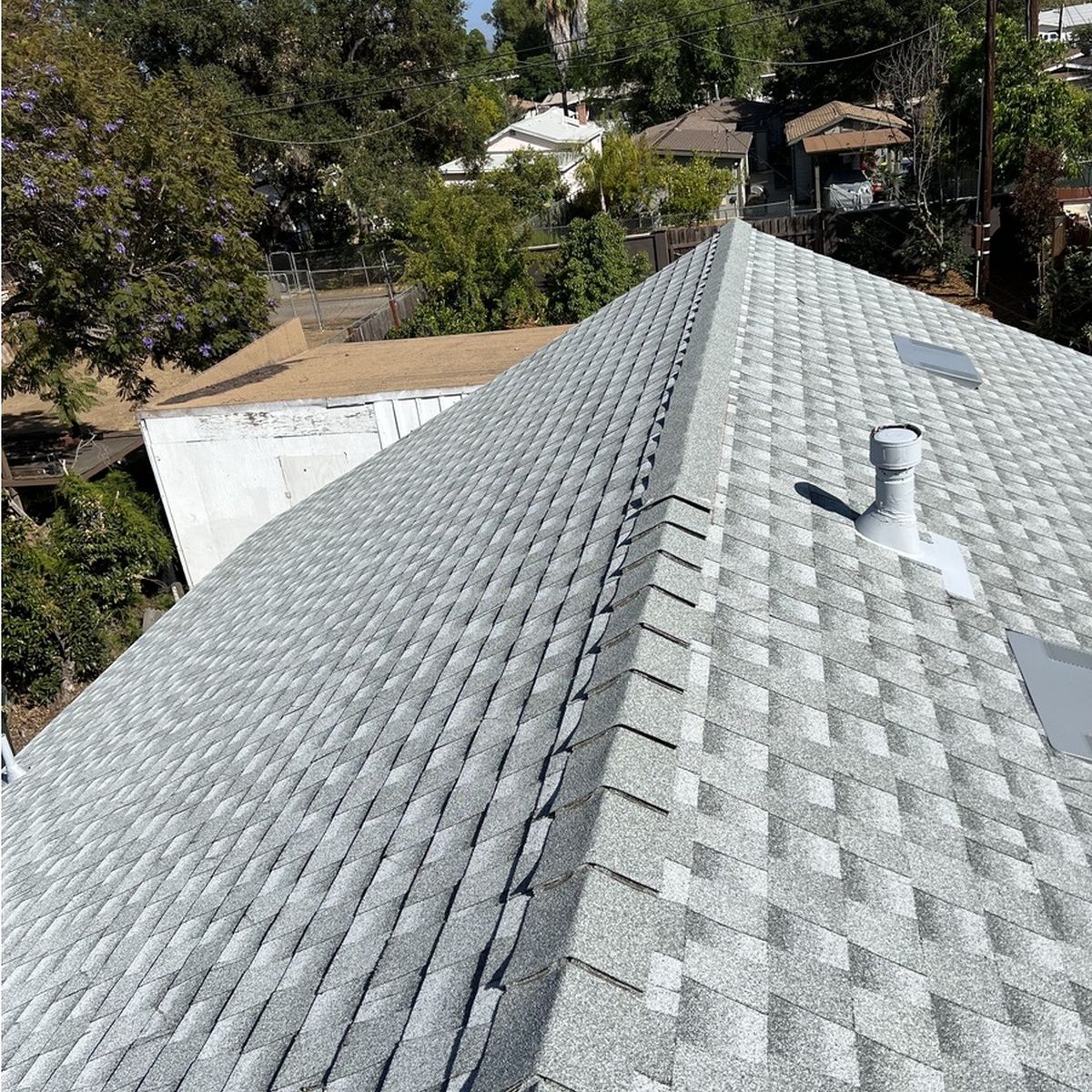 View from a rooftop with gray shingle roof, vents, and trees and houses in the background