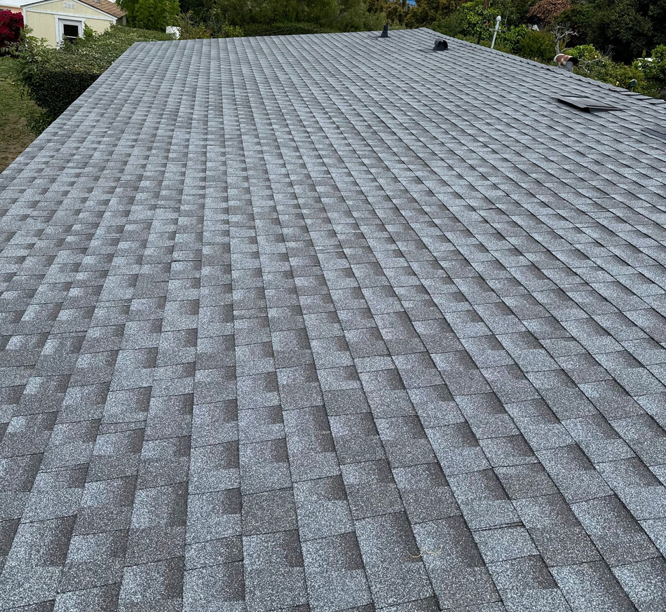 Gray shingled roof viewed from above, with trees and a small house in the background
