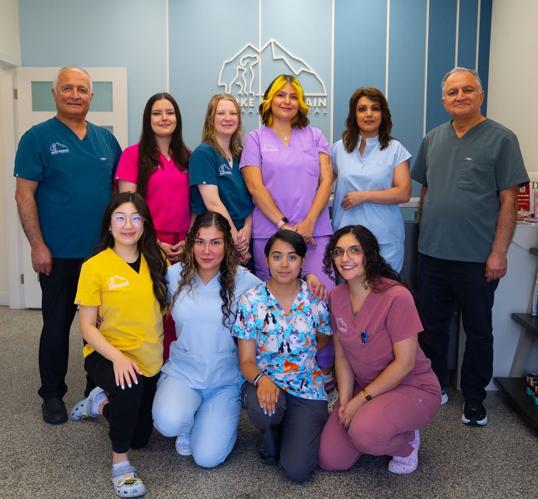 Burke Mountain Animal Hospital team