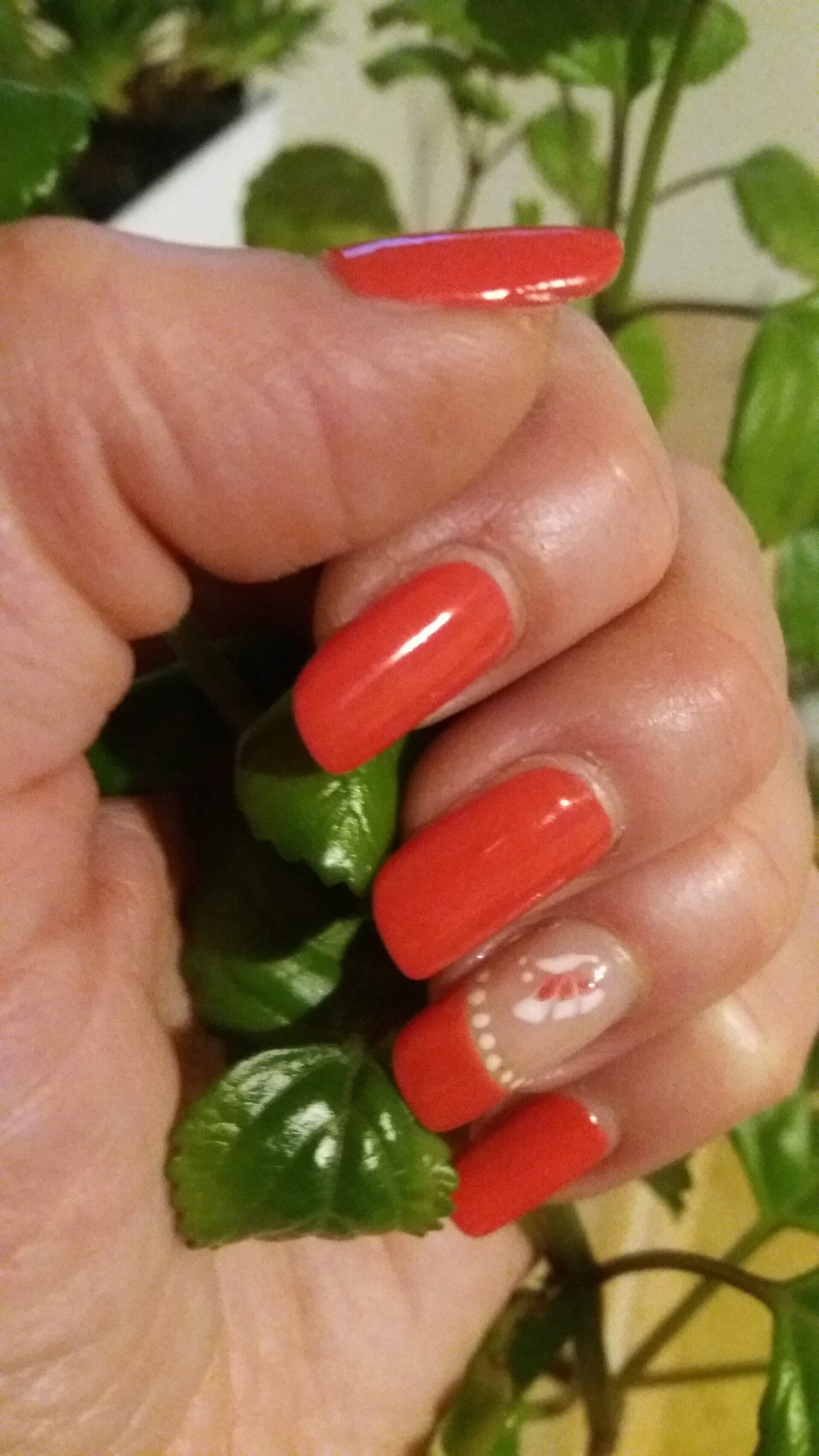 estetica9