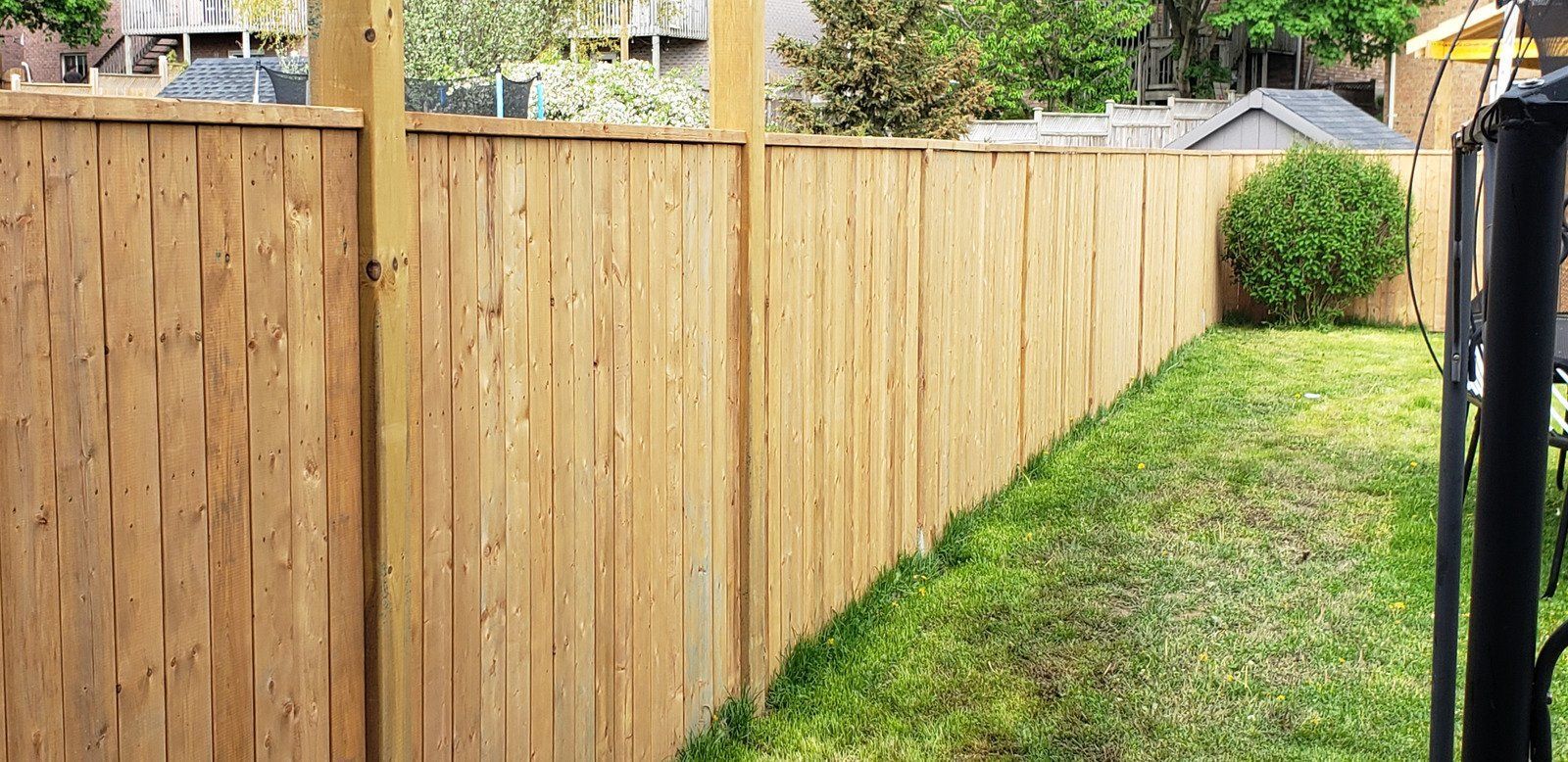 Wooden fence with green grass in a backyard on a sunny day.
