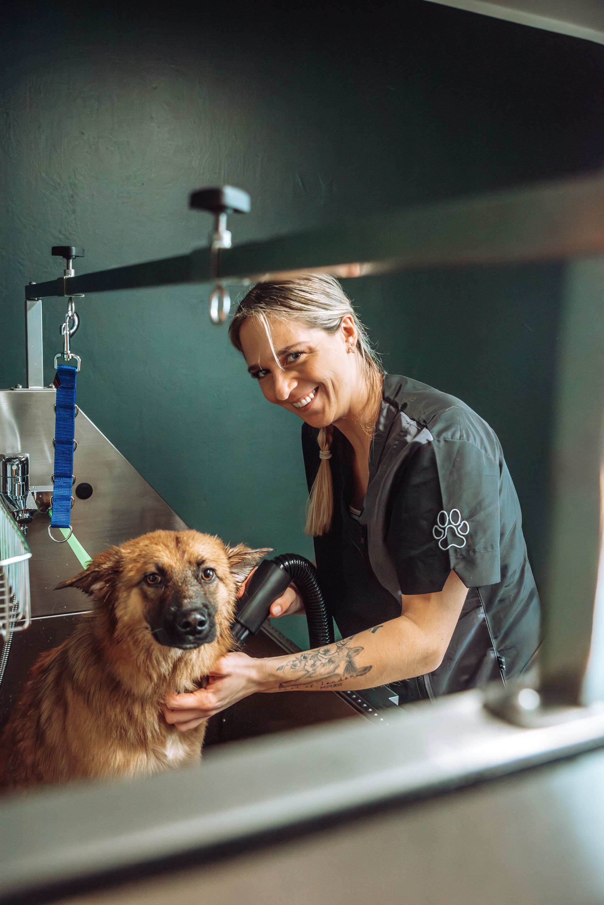 Vanessa bei der Arbeit in Harsefell DEin Hundesalon