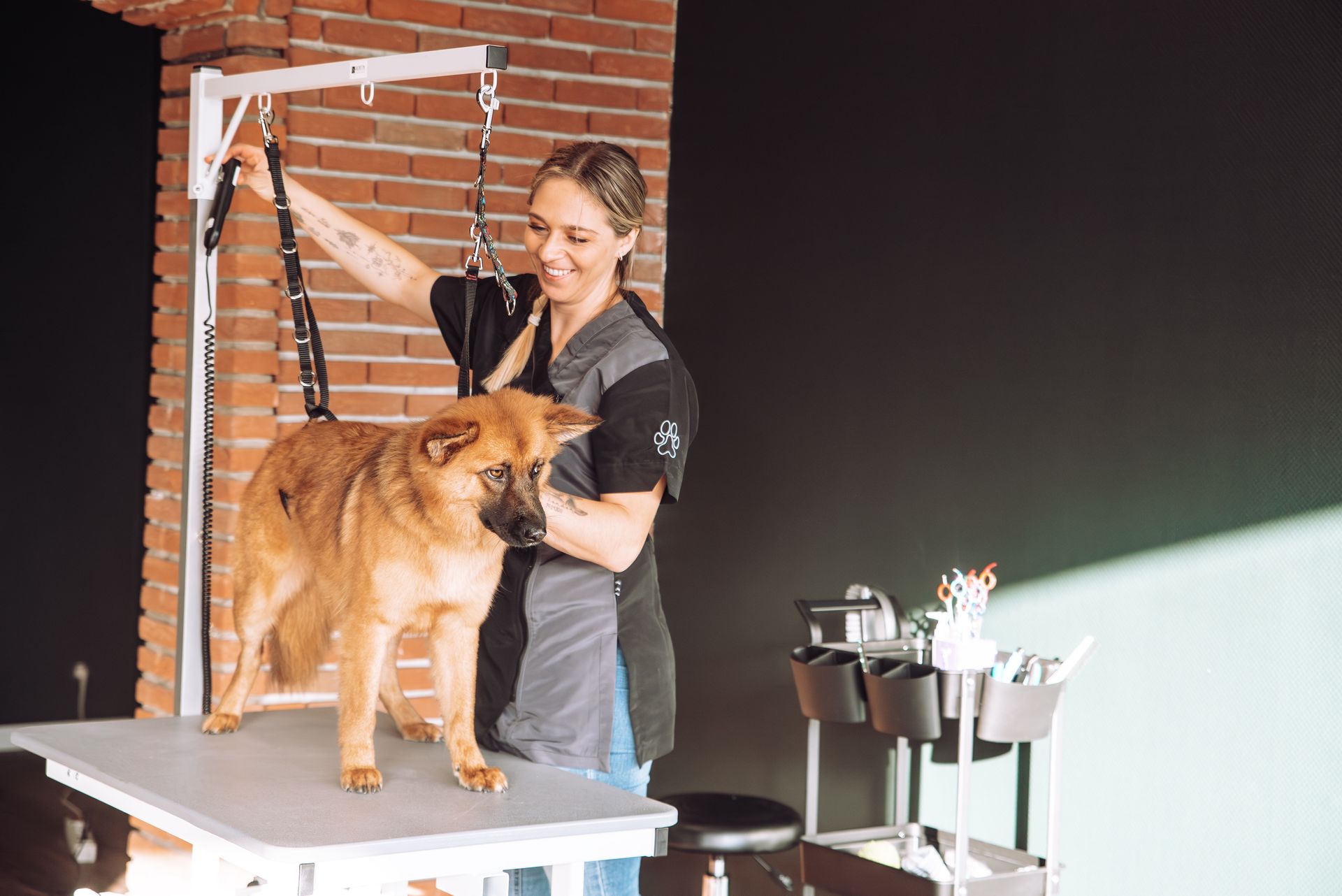 Vanessa bei der Arbeit
