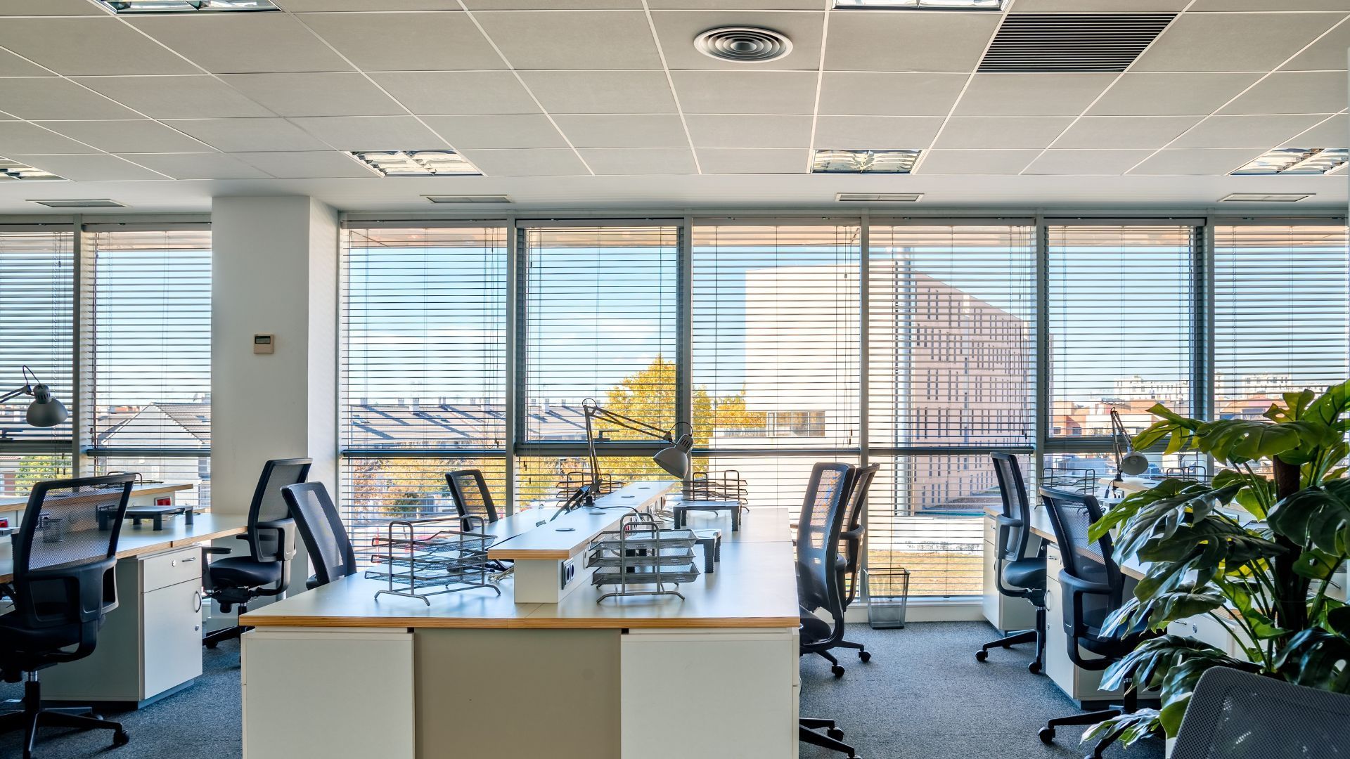 The interior of a large office with several desks, swivel chairs and plants. The bright natural light is coming in through the windows.