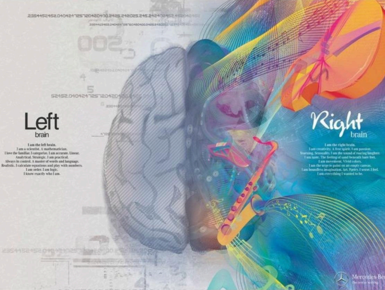 Illustration depicting left and right brain functions, divided with text labels and colorful abstract designs.