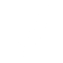 Prime Youth Aesthetics icon