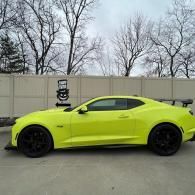 car window tint