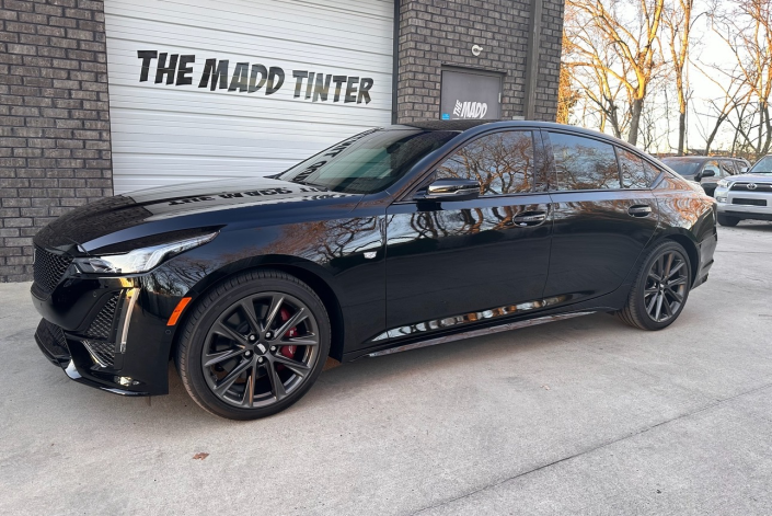 car window tint