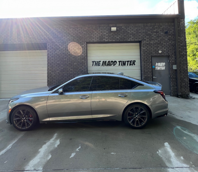 car window tint