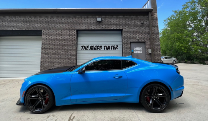 car window tint