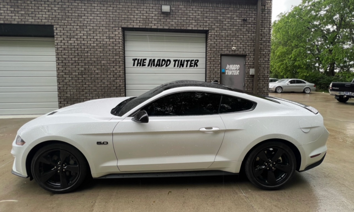 car window tint