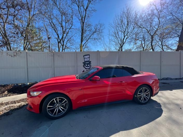 car window tint