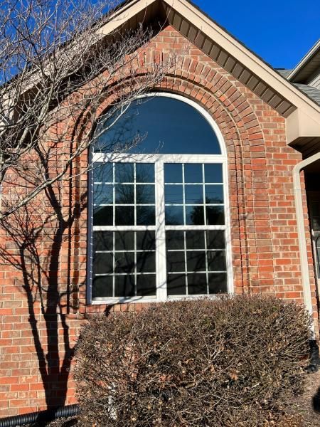 window tint