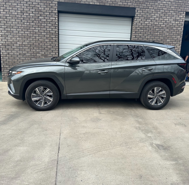 window car tint