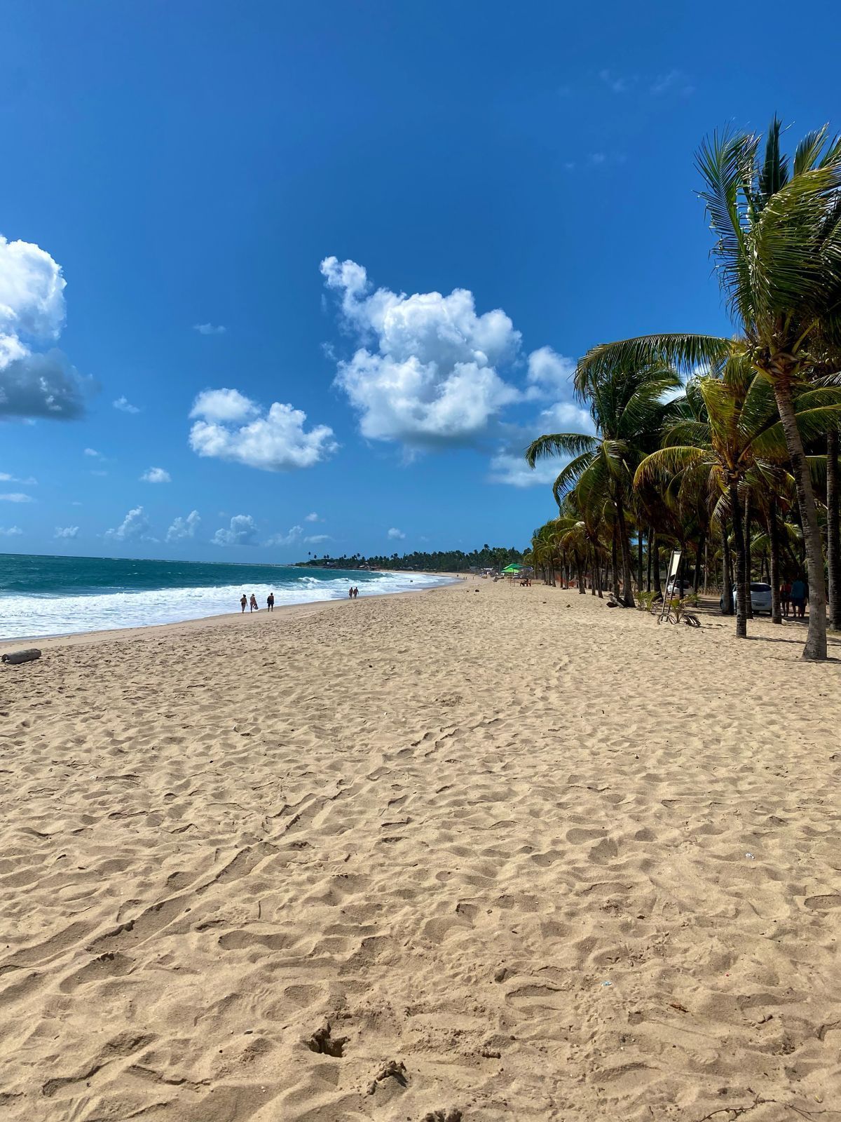 Praia de Maracaípe