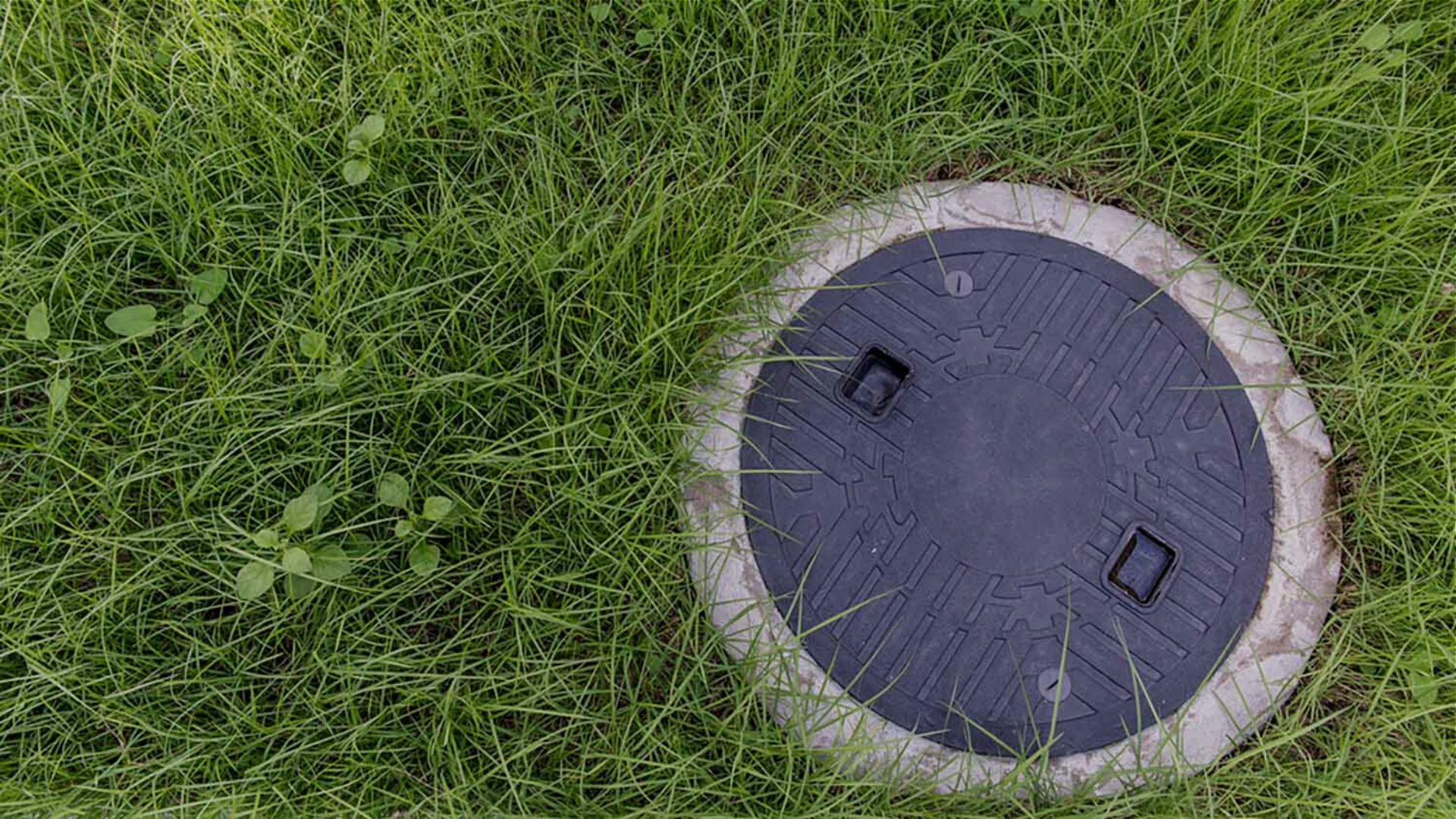A manhole cover is sitting in the middle of a lush green field.
