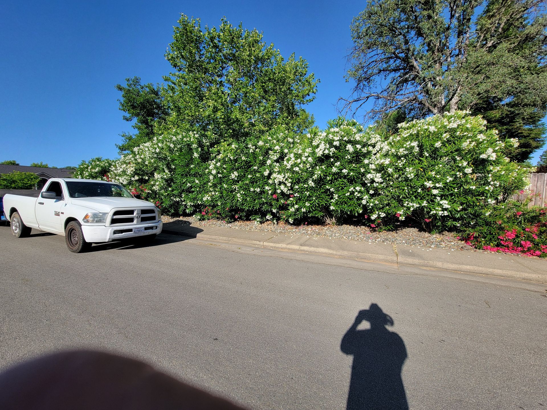 A white truck is parked on the side of the road