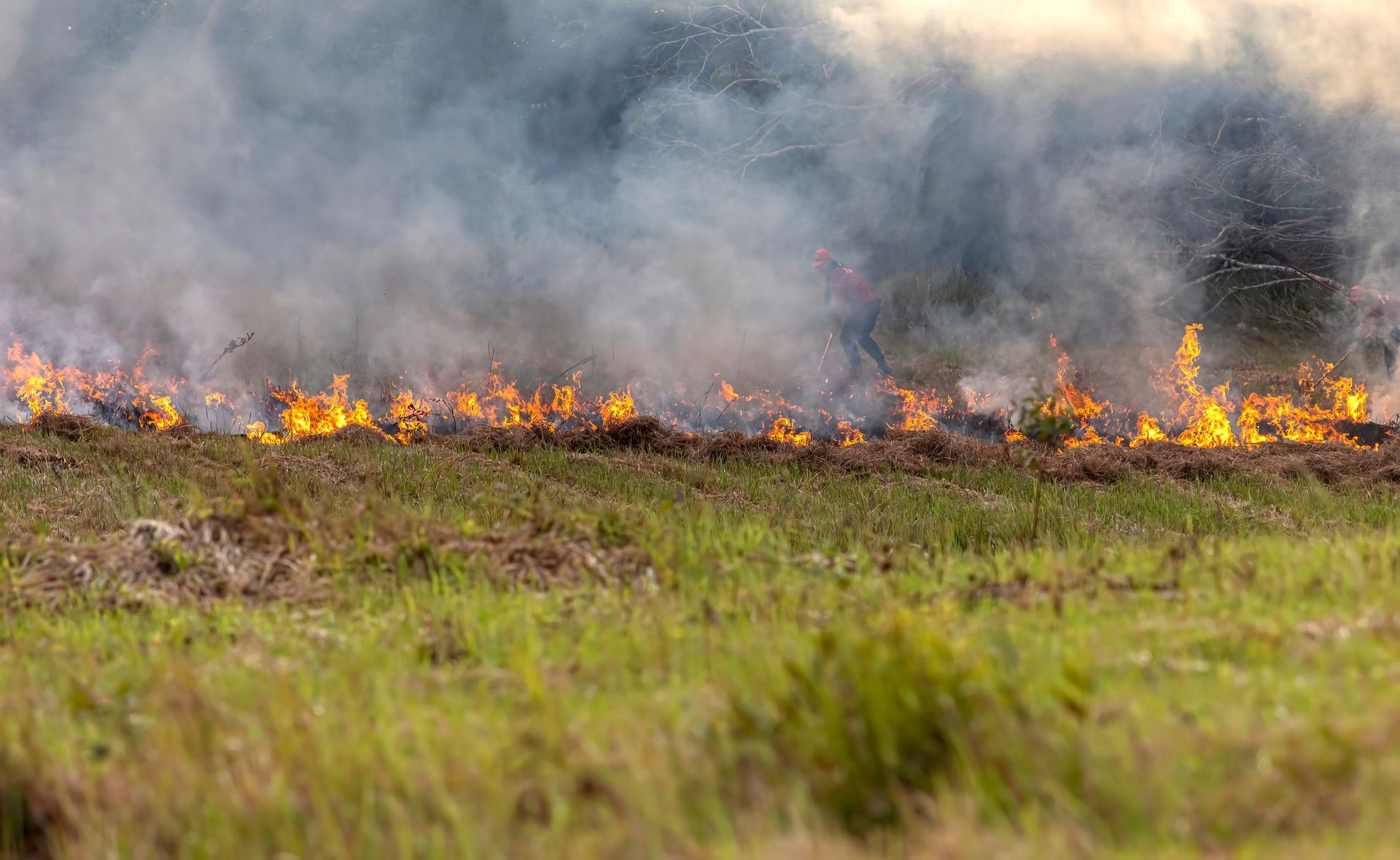 Fire On Lawn — Redding, CA — J Property Lawn Care