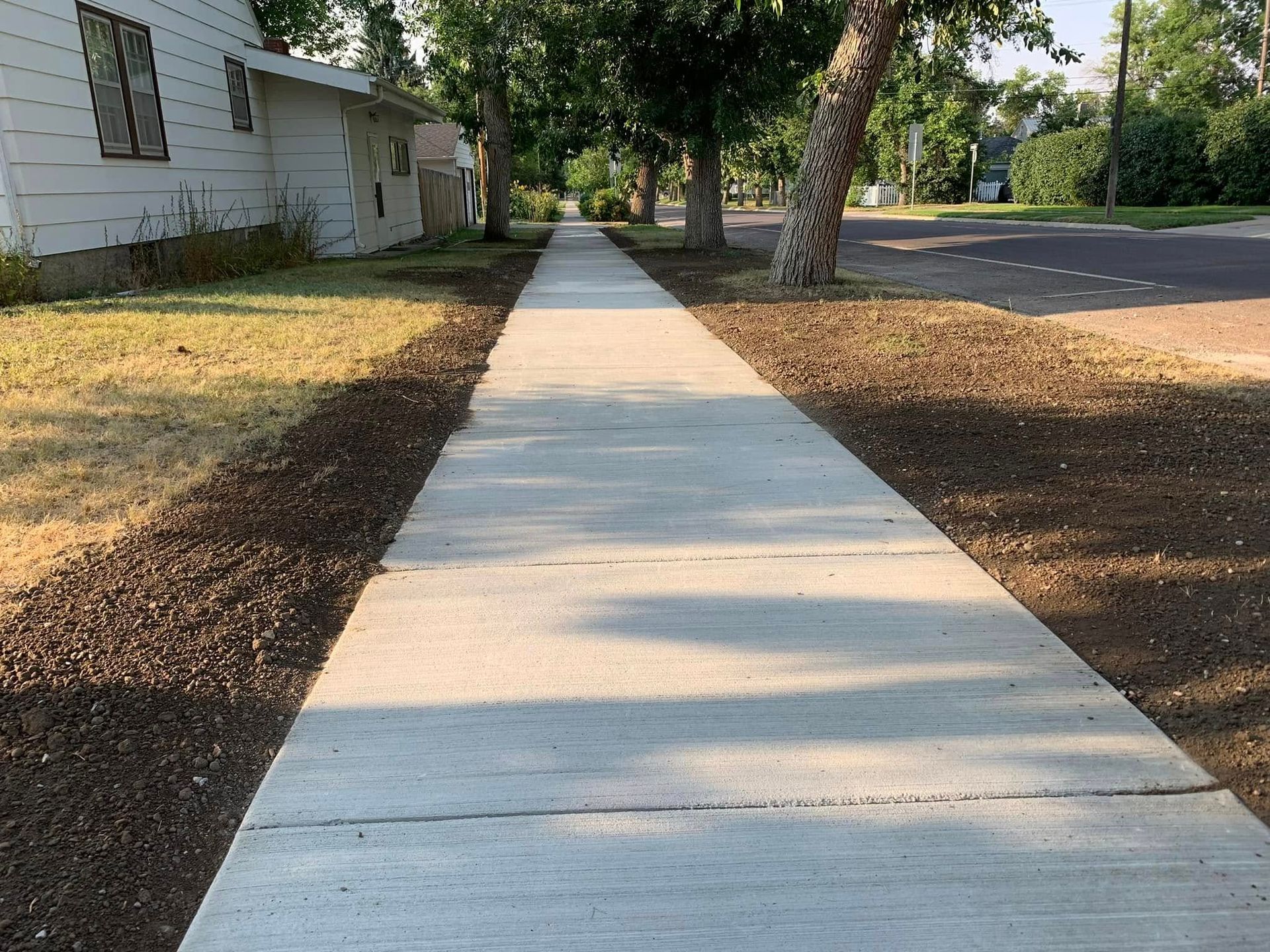 Concrete sidewalk beside a tree-lined street and house, with dry grass on both sides.