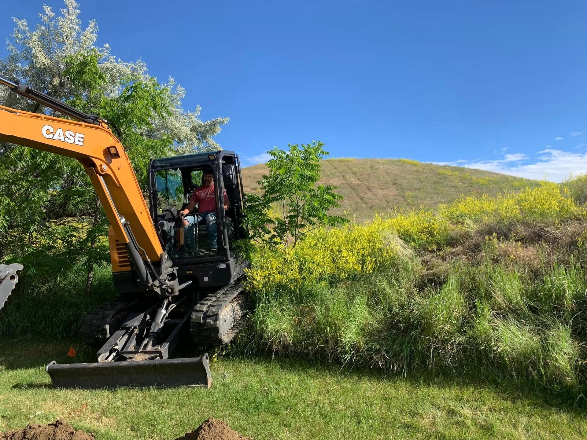 Orange excavator mowing grass on a sunny hillside beside green shrubs and trees