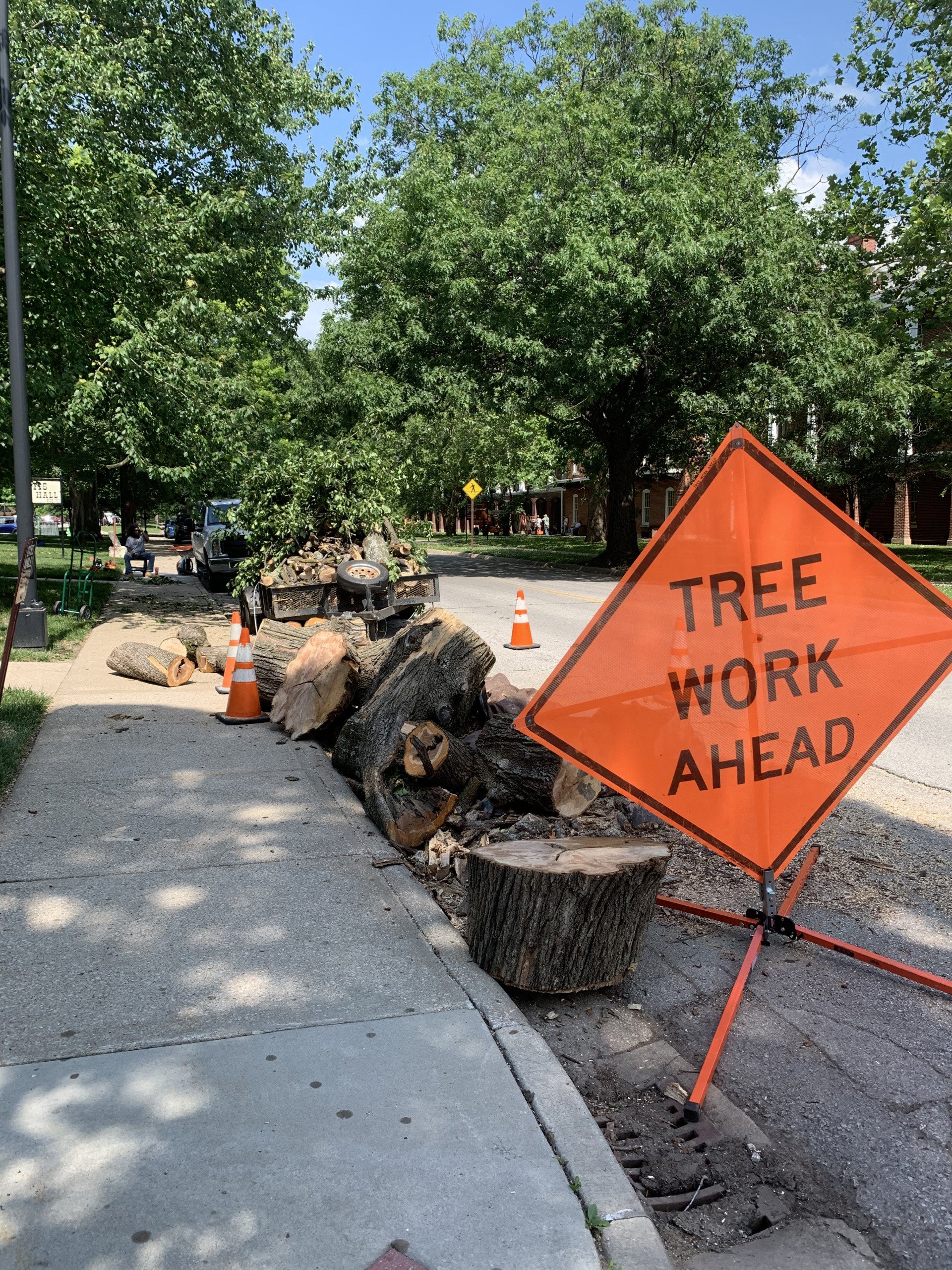 Reliable Tree Removal Kansas City, MO Jay's Pro Arborist Care LLC