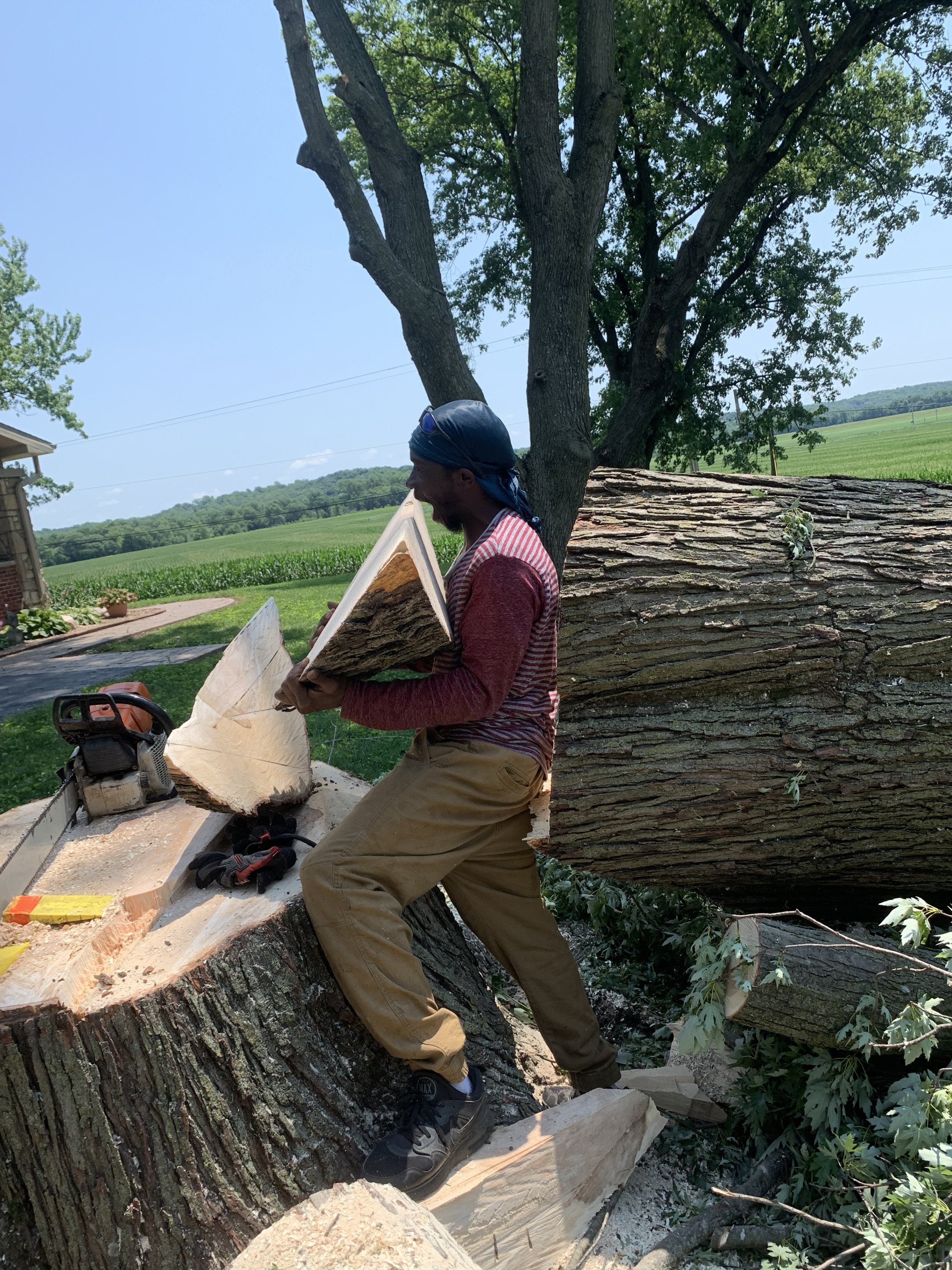 Reliable Tree Removal Kansas City, MO Jay's Pro Arborist Care LLC