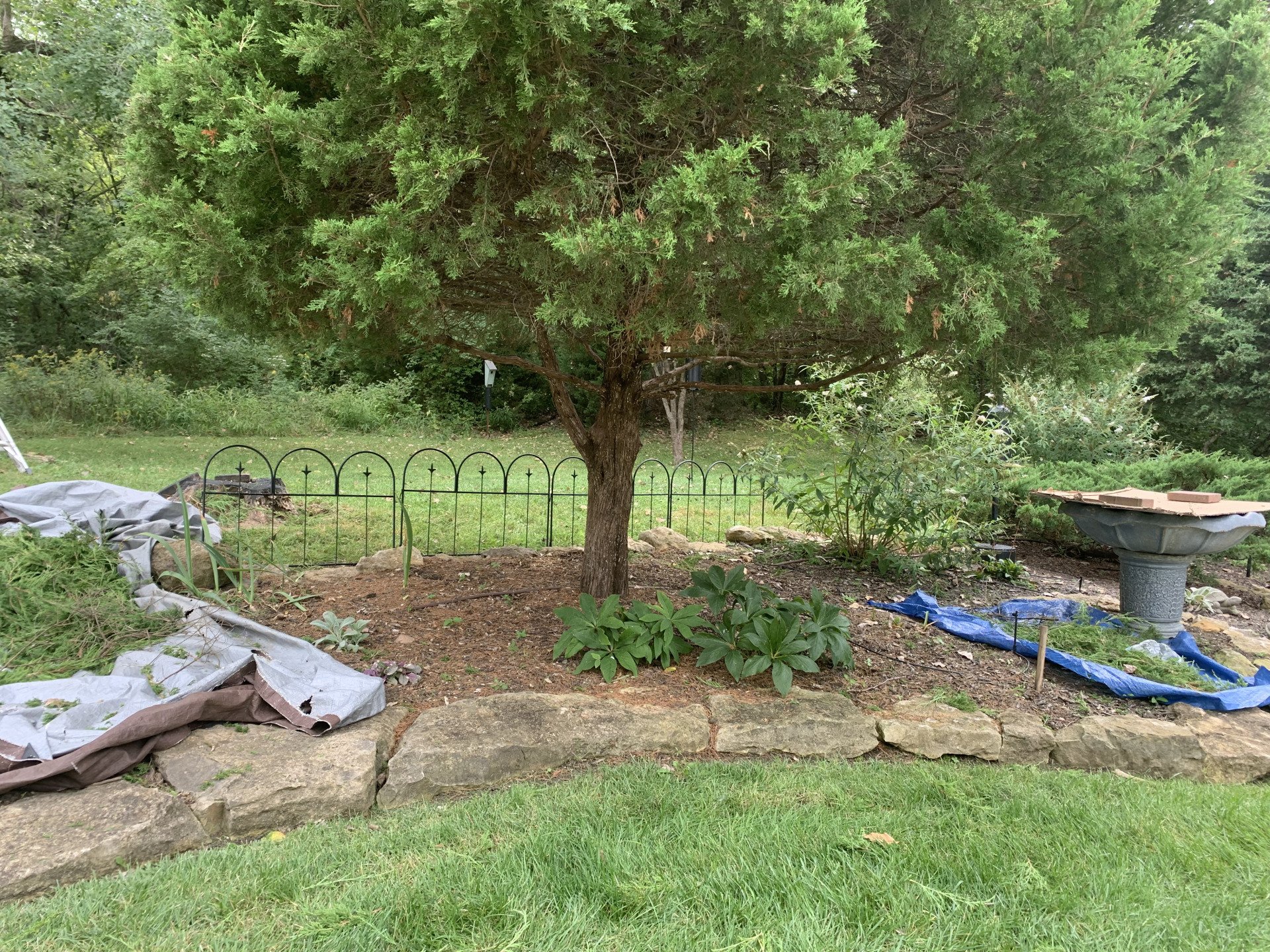 Reliable Tree Removal Kansas City, MO Jay's Pro Arborist Care LLC