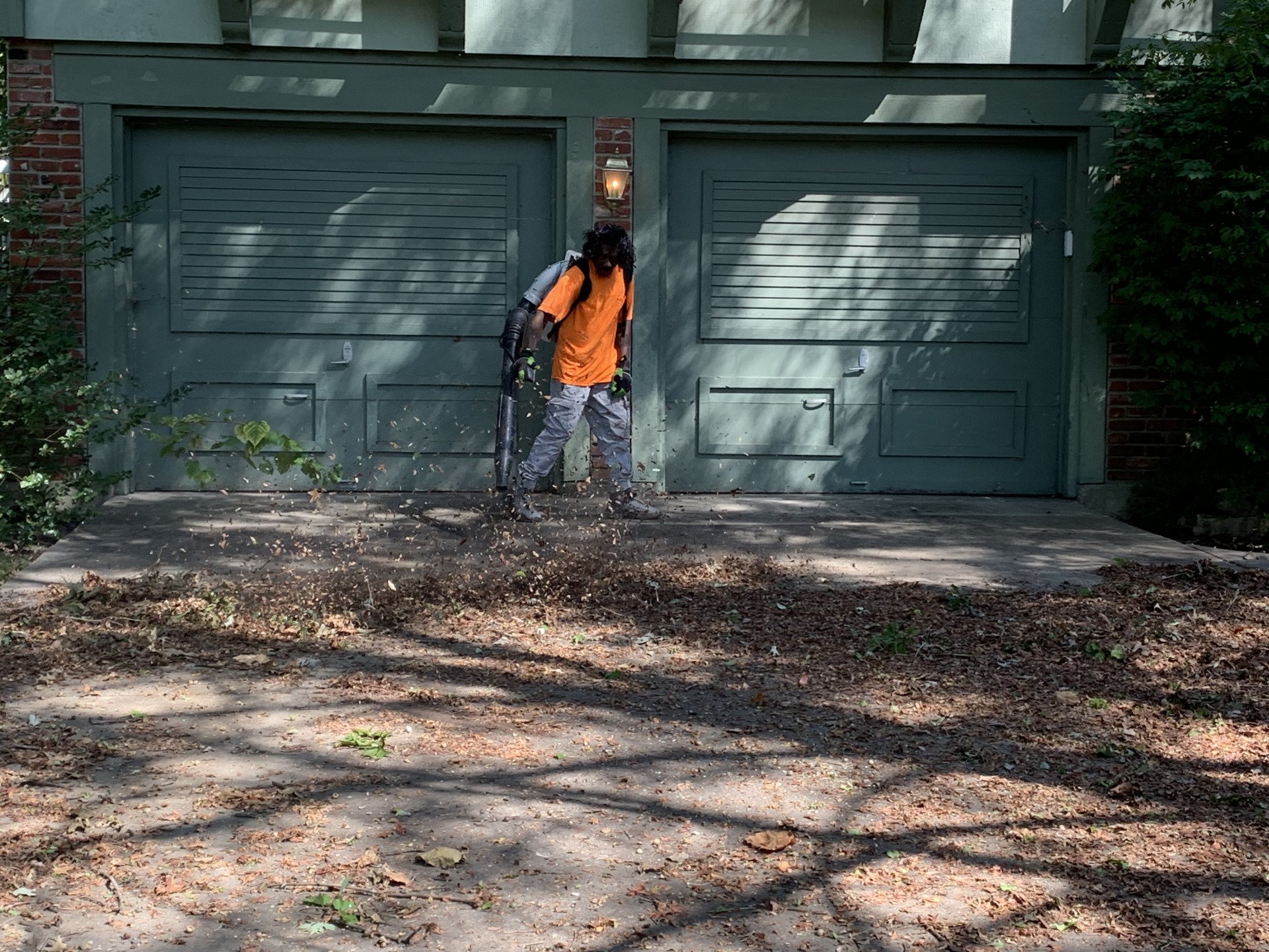 Reliable Tree Removal Kansas City, MO Jay's Pro Arborist Care LLC