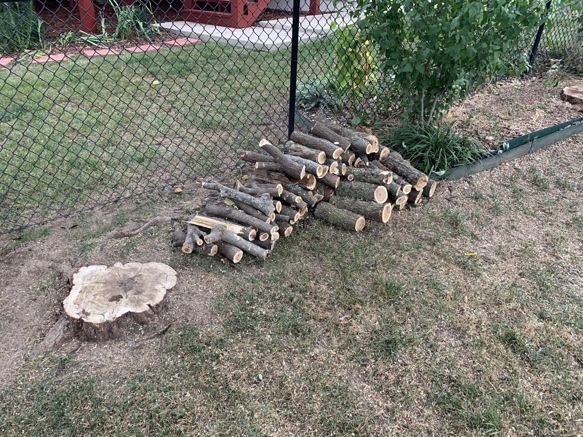 Reliable Tree Removal Kansas City, MO Jay's Pro Arborist Care LLC