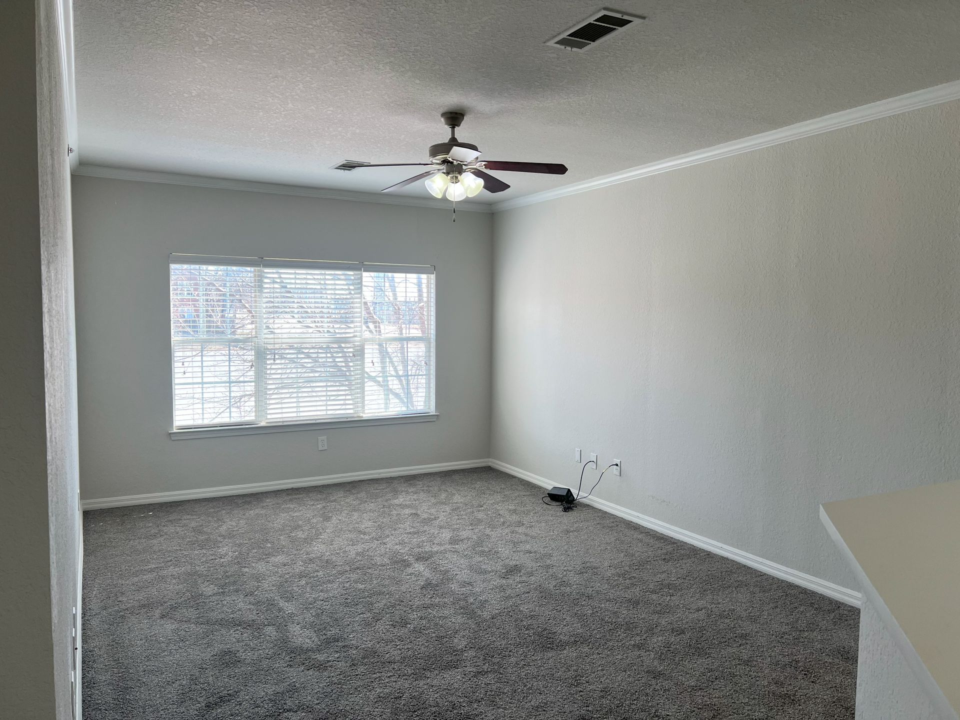 Empty carpeted living room with gray walls, large window, and ceiling fan