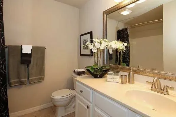 Bathroom shot