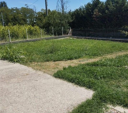 Parco erboso con sentiero lastricato, alberi e recinzione a rete metallica sotto un cielo azzurro e soleggiato.
