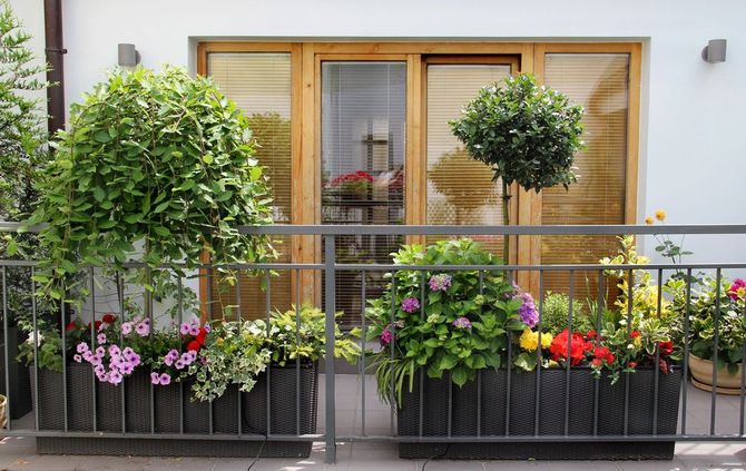 Giardino sul balcone con fiori in vaso e due alberelli davanti alle porte a vetri.