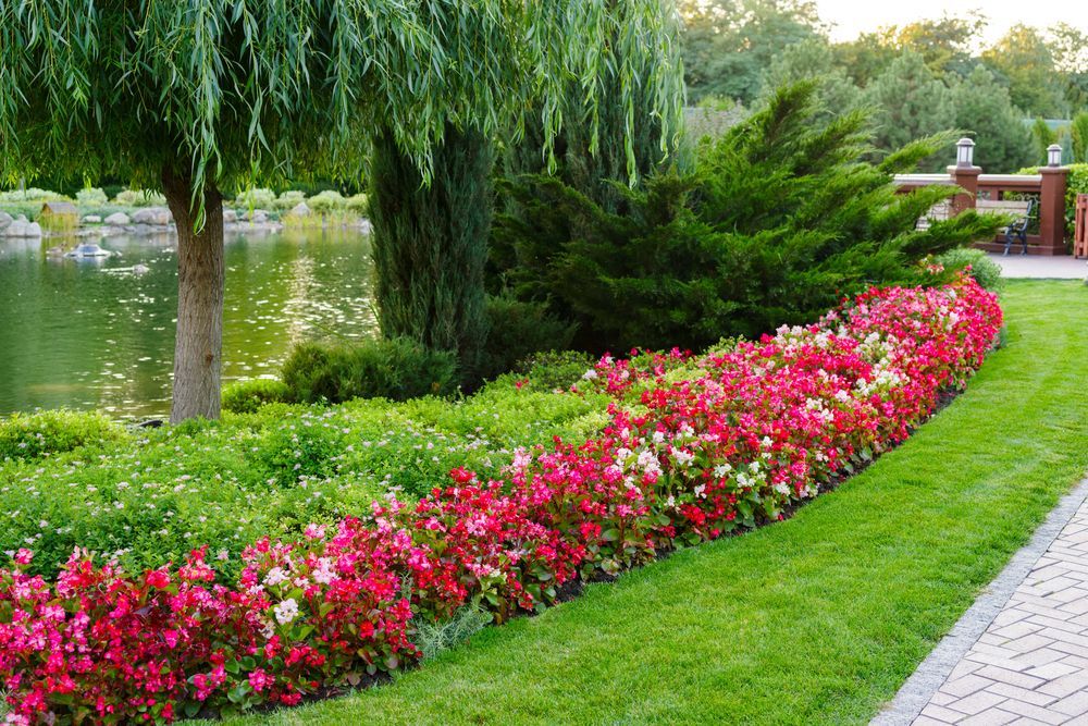 Fiori rosa colorati costeggiano un curato giardino in riva al fiume, accanto a un prato verde e a un sentiero lastricato.