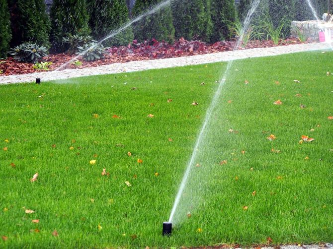 Gli irrigatori innaffiano un prato verde brillante in un giardino curato.