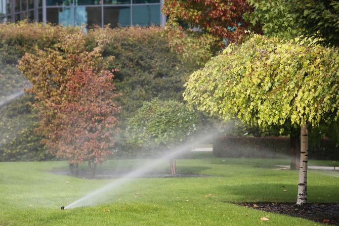 Un irrigatore innaffia un prato verde accanto ad alberi dai colori autunnali in un parco o in un giardino.