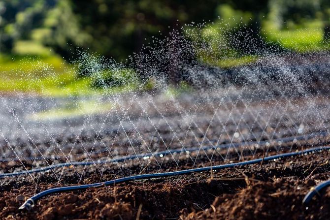 Degli irrigatori innaffiano un'aiuola con terra e piante verdi sullo sfondo.