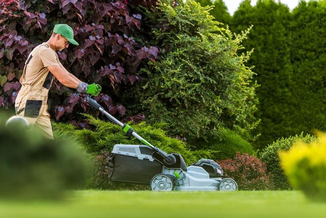 Una persona taglia l'erba con un tosaerba a spinta in un giardino verde.
