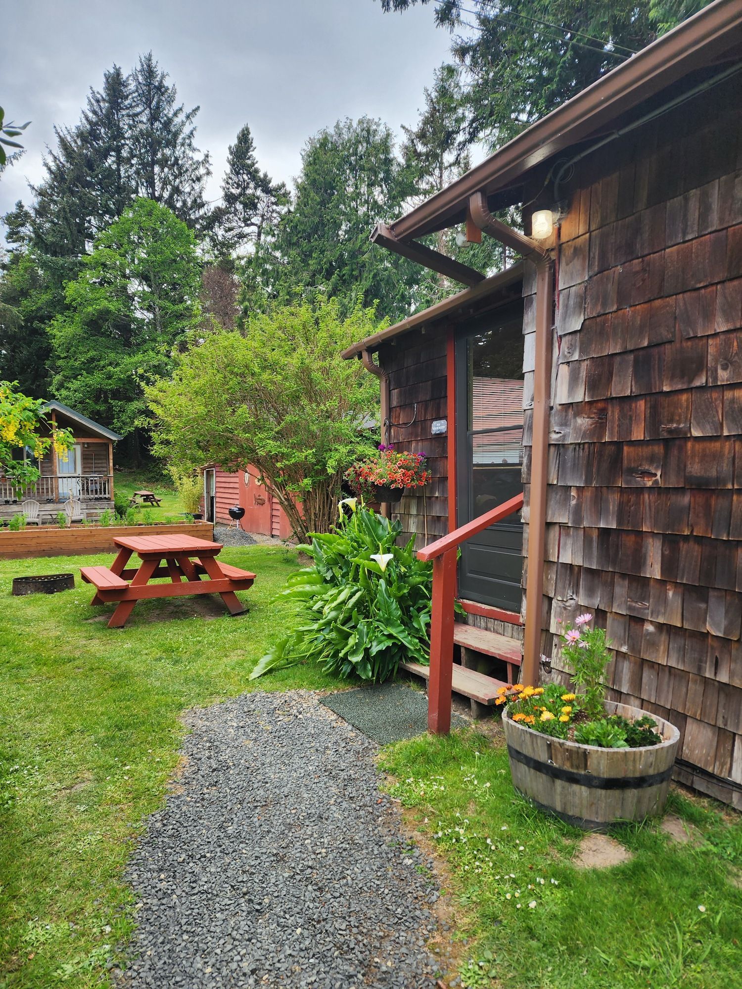 Rustic cottage garden with gravel path, picnic table, and wooden house surrounded by lush greenery