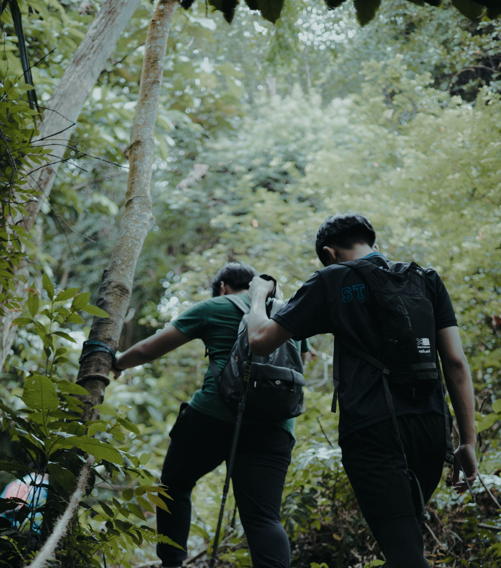 Two hikers with backpacks walking uphill through dense green forest, seen from behind.