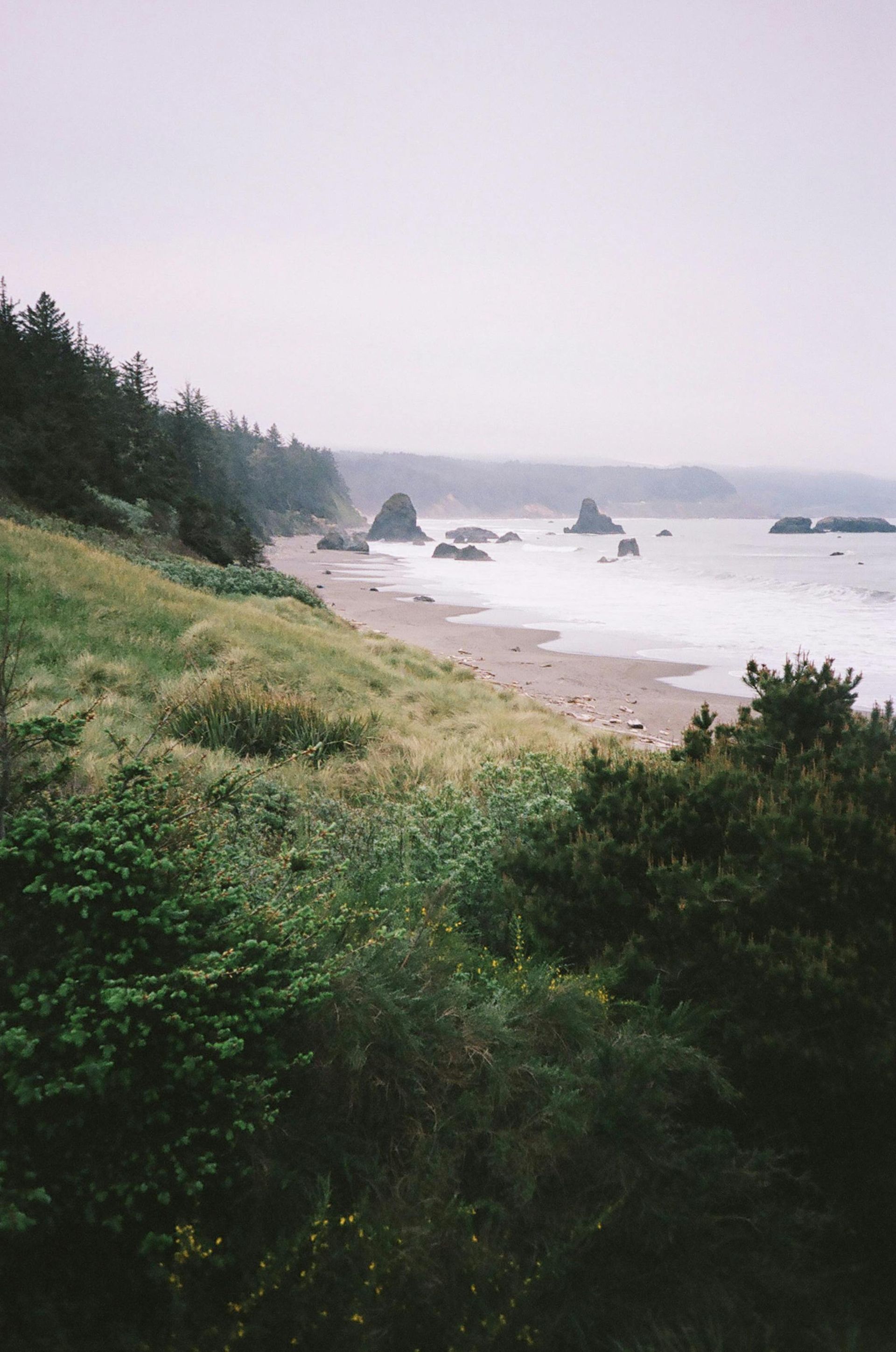 Hazy coastal shoreline with rocky outcrops, surf, and grassy green hills under an overcast sky
