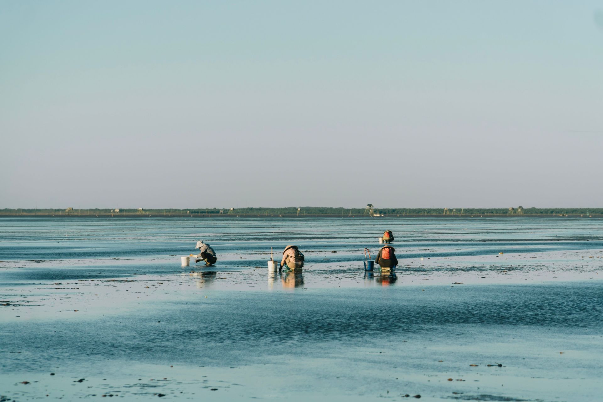 People wading in shallow water on a calm, blue tidal flat under a pale sky