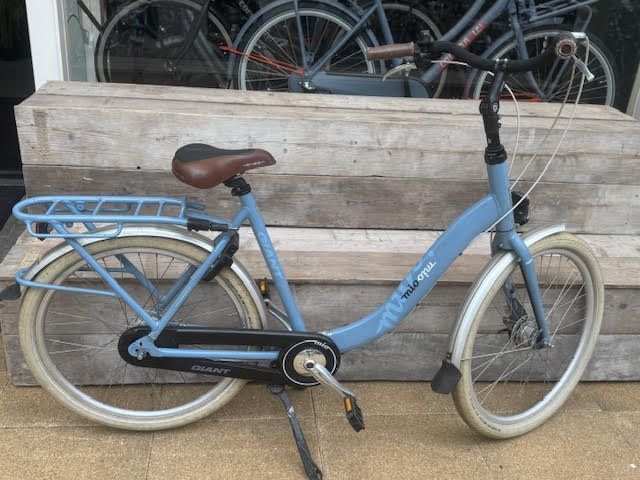Blauwe fiets met lage instap, bruin zadel, bagagedrager en spatborden. Buiten geparkeerd.