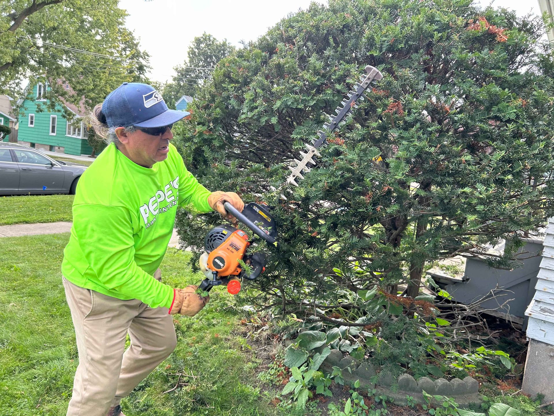 A person is cutting a bush with a hedge trimmer.