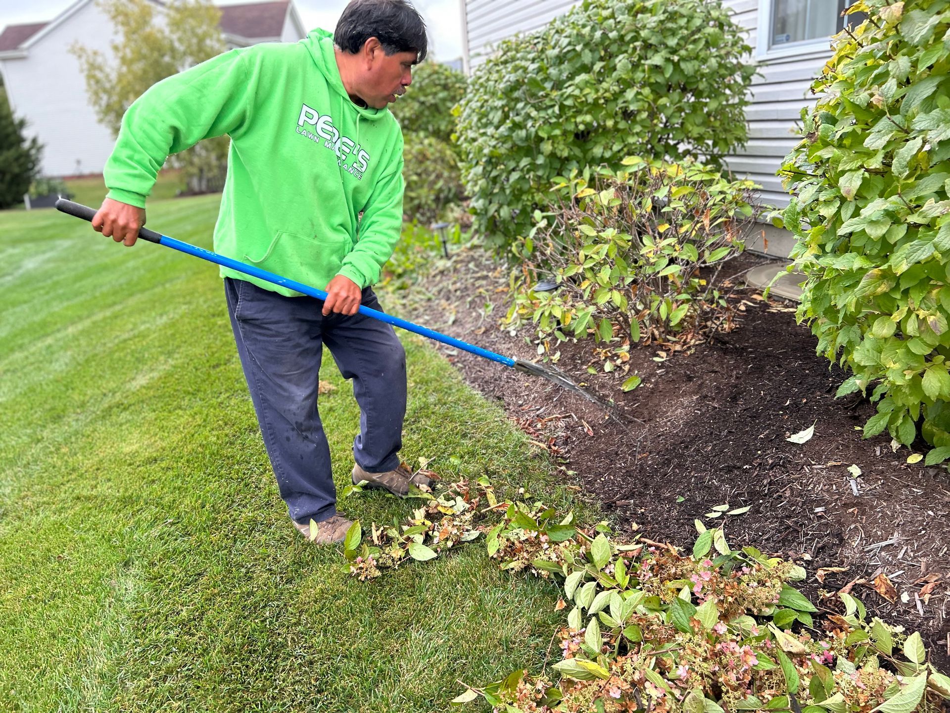 Man raking leaves beside a house, gathering debris along a garden bed