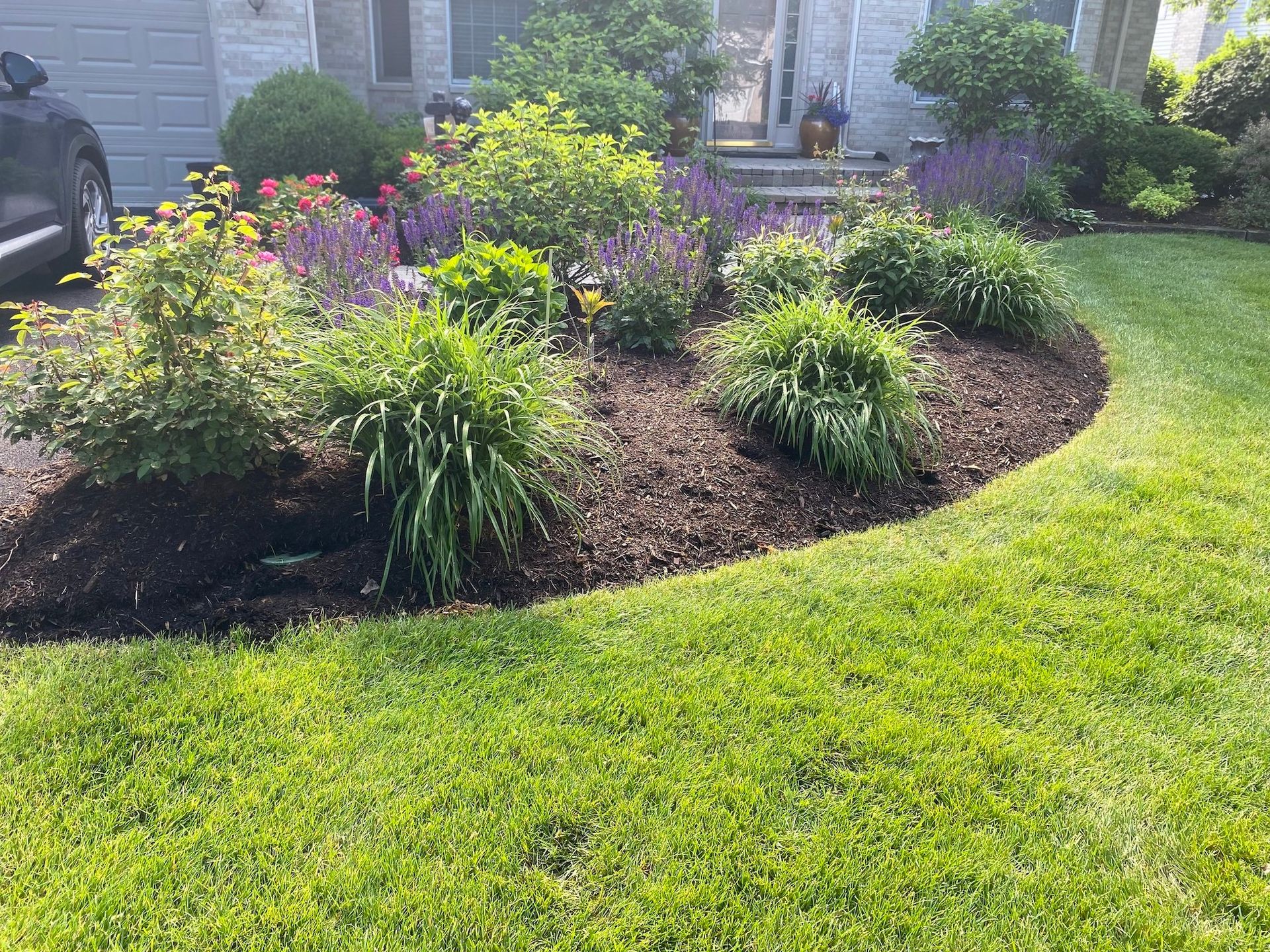 A lush green lawn with flowers and shrubs in front of a house.